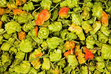 Game Pass 7月下旬游戏 《明末：渊虚之羽》24日上线